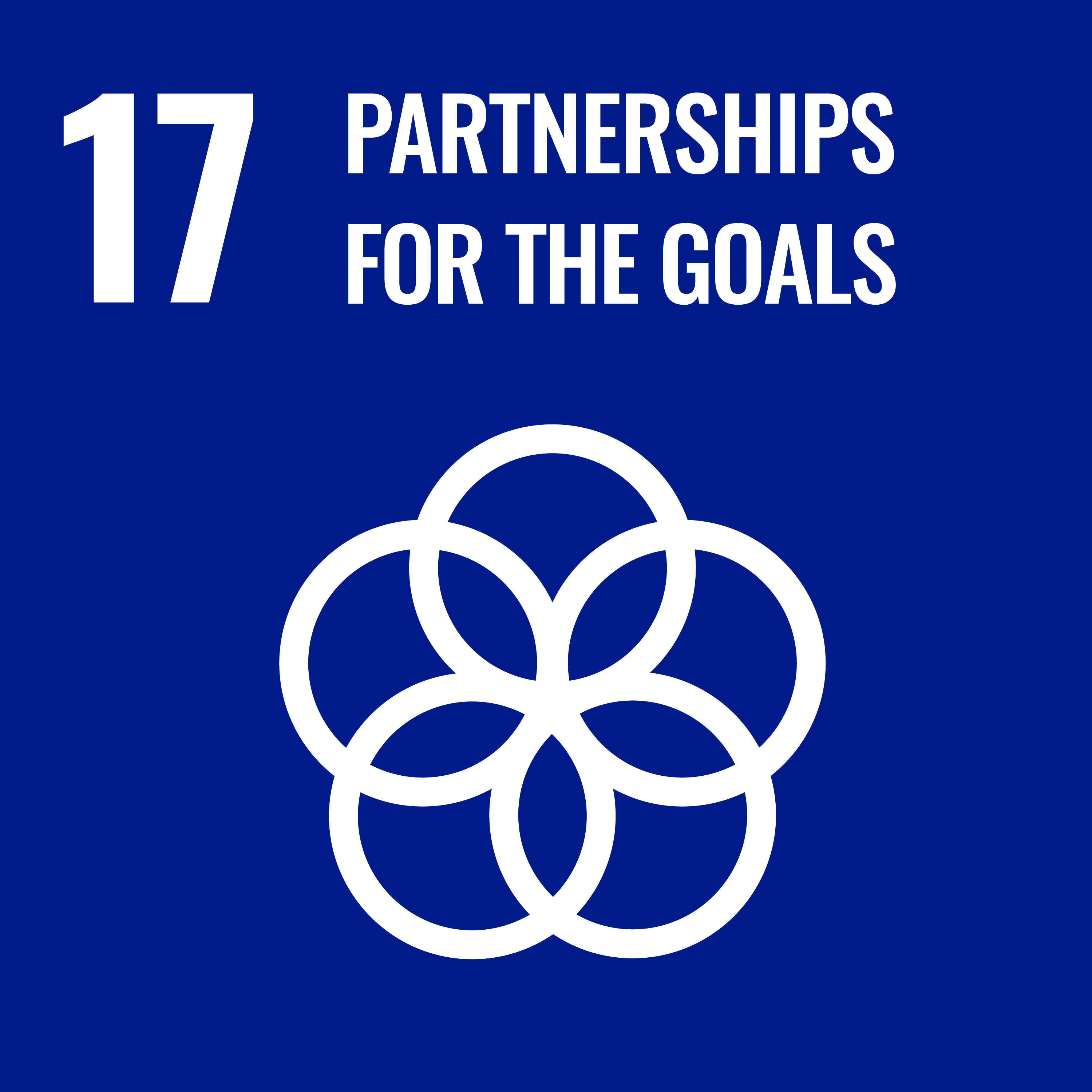 partnerships_for_the_goals
